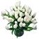 Белые тюльпаны. Тюльпаны - нежные, утонченные цветы для любителей весны и романтики. Сезон тюльпанов длится, как правило, с февраля по апрель. В остальное время их наличие ограничено, поэтому заказ лучше оформлять заранее.. Бразилия